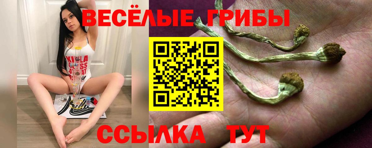 Галлюциногенные грибы MAGIC MUSHROOMS  Вход с VPN  Комсомольск-на-Амуре 